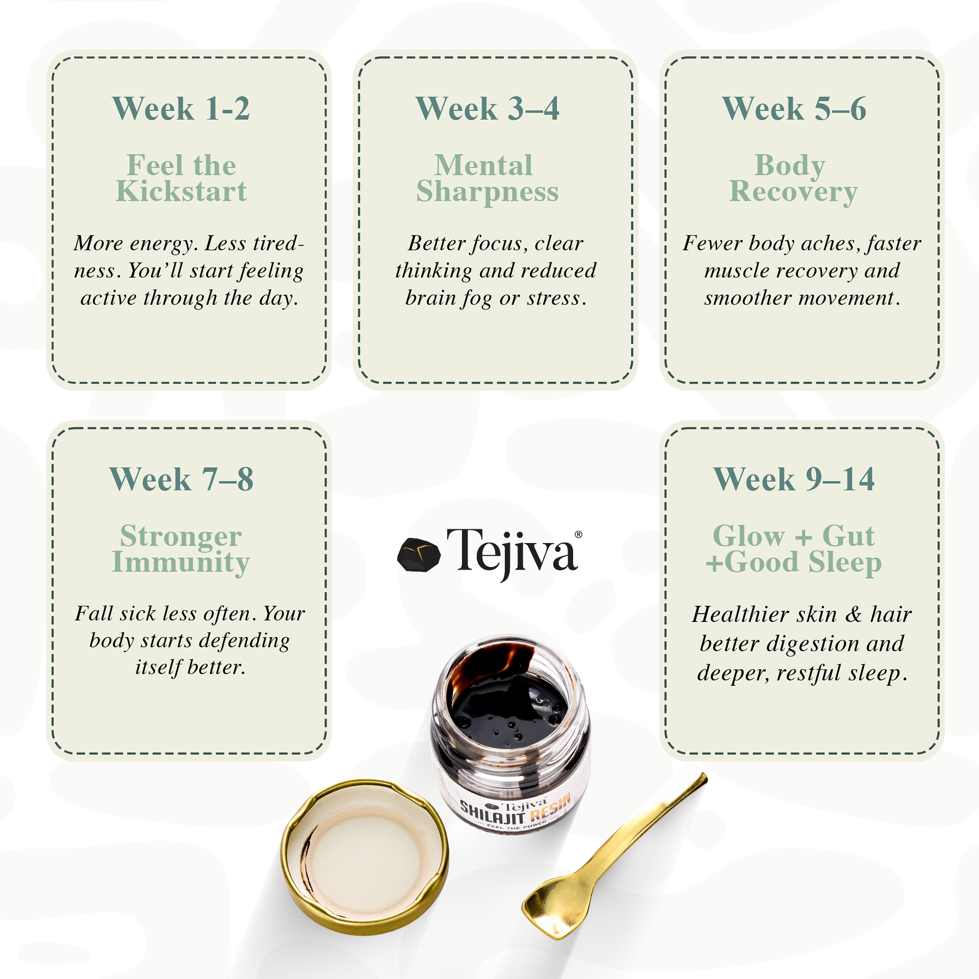2 of Pack - Tejiva Premium Himalayan Shilajit Resin